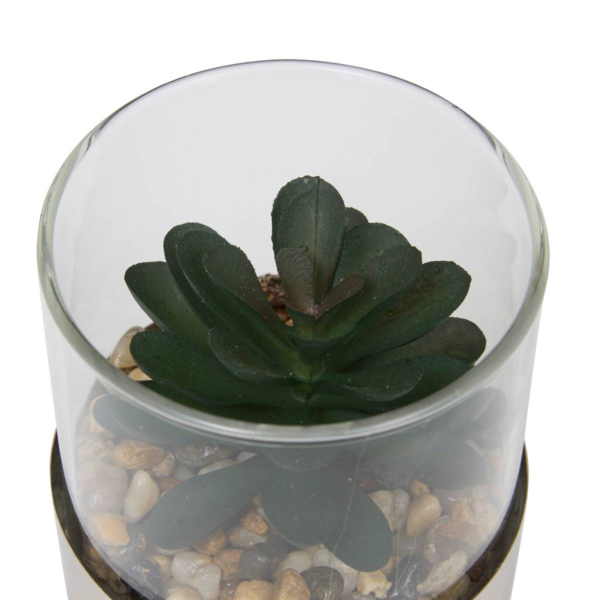 Terrarium "Sky" 8,5x8 cm Modele A