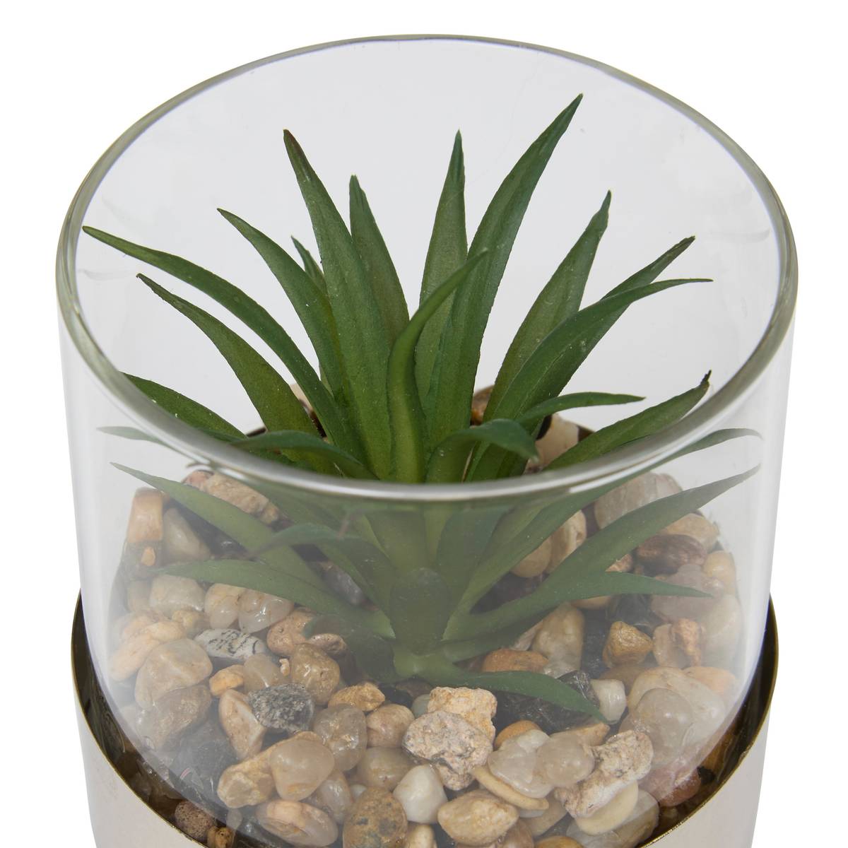 Terrarium "Sky" 8,5x8 cm Modele A