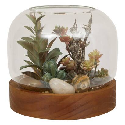 Terrarium "wonj" 15,7x14 cm