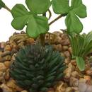 Terrarium "Wilo" 11x10 cm Modell A