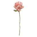 Kunstblume "Fria" H.62 cm Beige