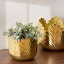 2er-Set Übertopfe "Belli" Gold, 21x18 cm Gold