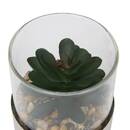 Terrarium "Sky" 8,5x8 cm Modele A