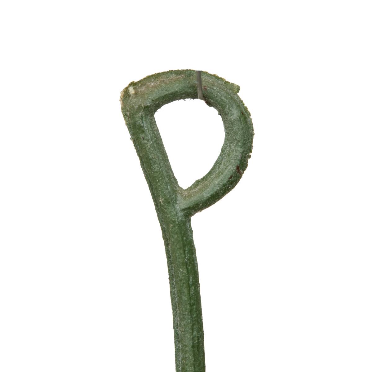 Kunstblume "Obia"
