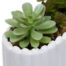K&uuml;nstliche Pflanze "Wida" H.12 cm Wei&szlig;