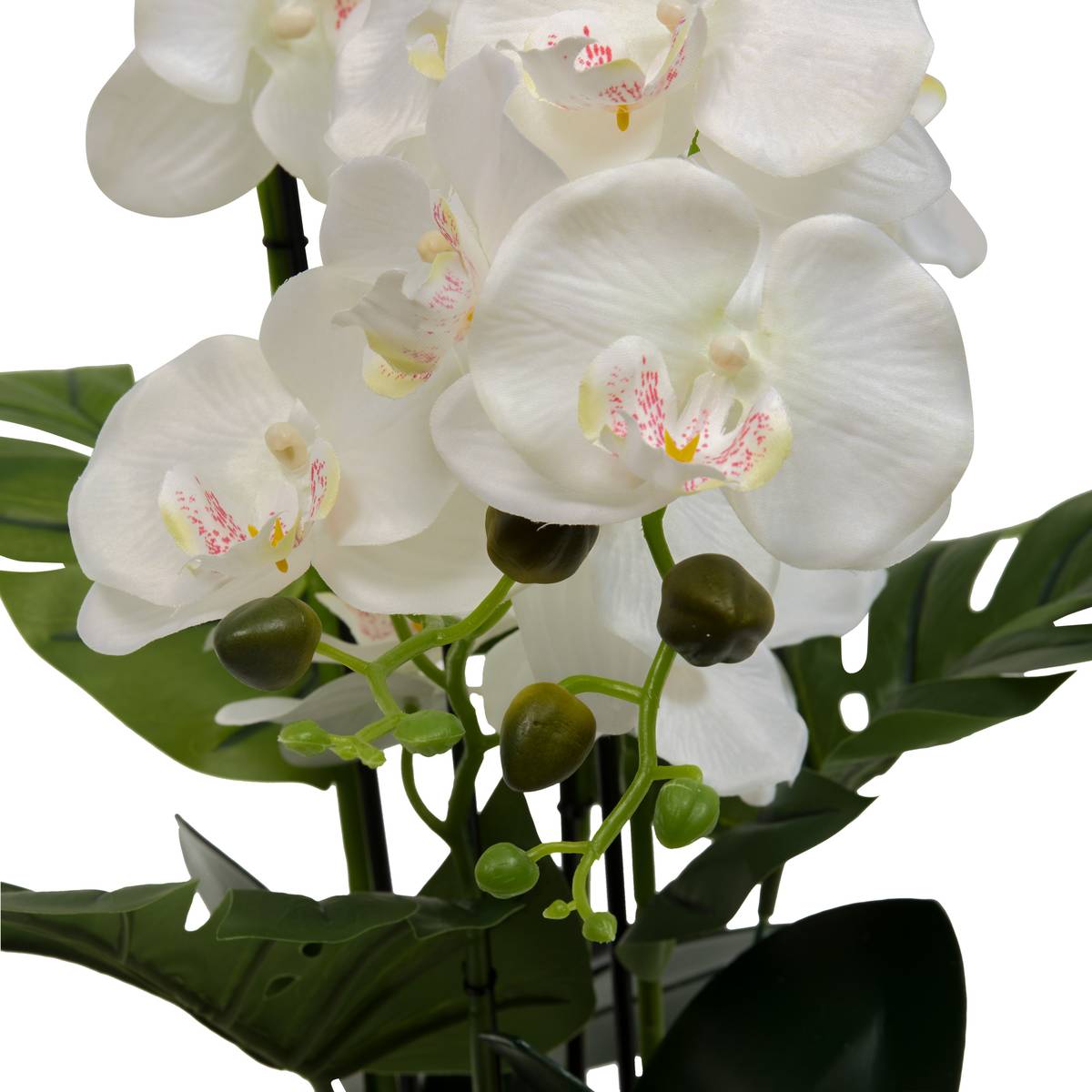 K&uuml;nstliche Blume im Topf "Asia" Steinzeug (Keramik), H.81 cm Gr&uuml;n