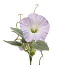 Künstliche Blume "Phoebe" H.76 cm Blau