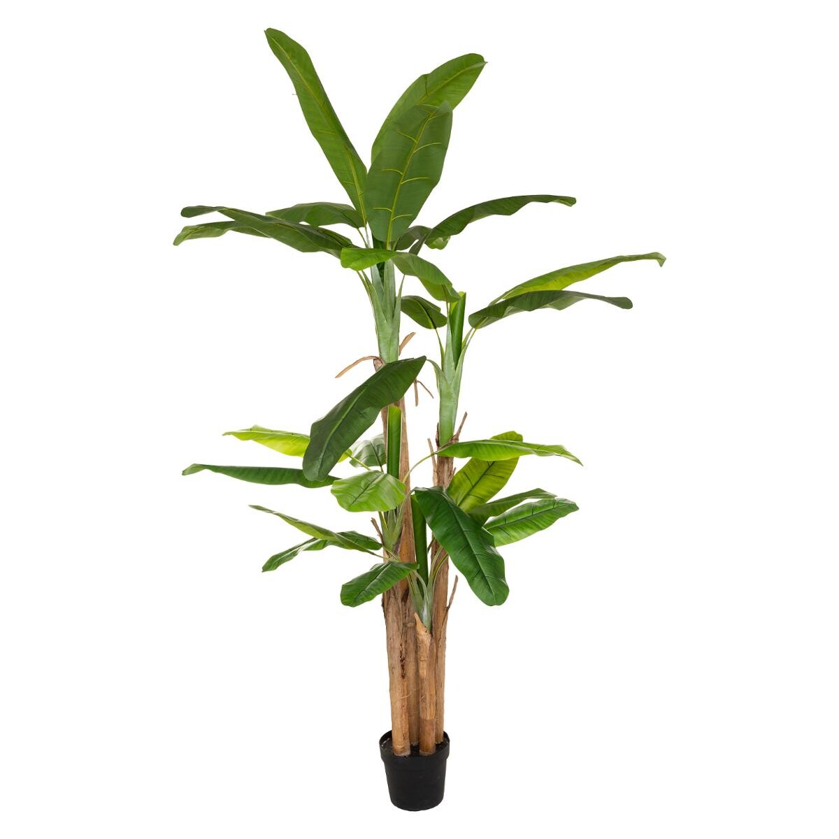Riesige künstliche Bananenpflanze H.285 cm Grün