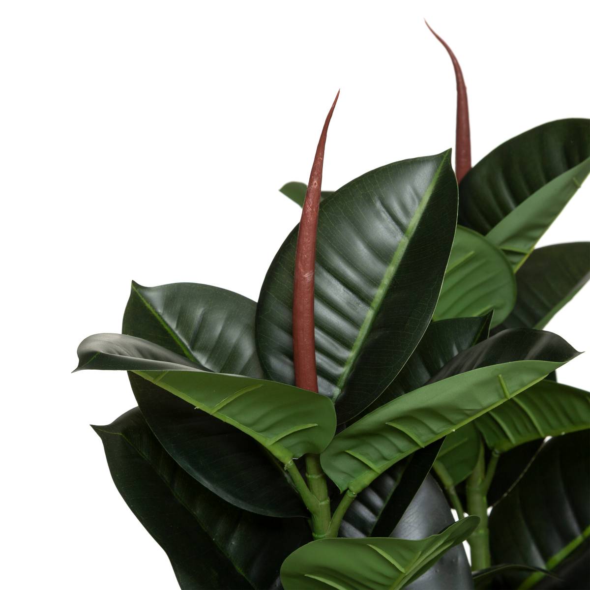 Künstlicher Ficus robusta H120 cm Grün, H.120 cm Grün