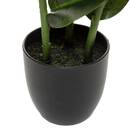 Künstlicher Ficus robusta H120 cm Grün, H.120 cm Grün