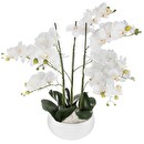 K&uuml;nstliche Orchidee im Topf "Orchidee" Keramiktopf, Wei&szlig;, H.65 cm Wei&szlig;
