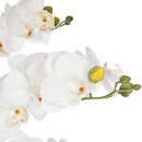 K&uuml;nstliche Orchidee im Topf "Orchidee" Keramiktopf, Wei&szlig;, H.65 cm Wei&szlig;