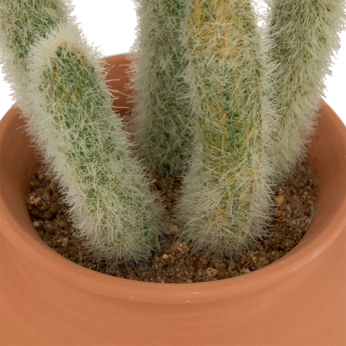Künstlicher Kaktus "Ali", H16,5 cm Terrakotta, H.16,5 cm Modell 1