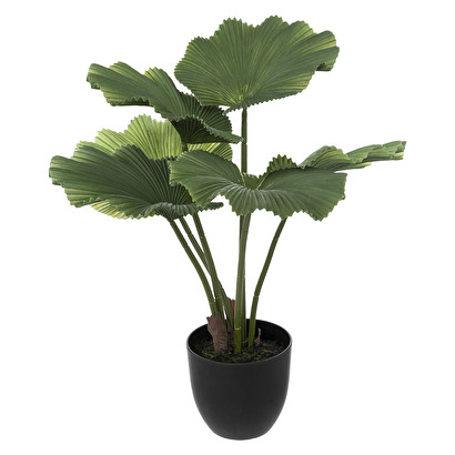 K&uuml;nstliche palme h.65 cm