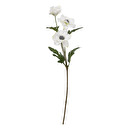 Künstlicher Anemonenstiel Weiß, H.69 cm Weiß