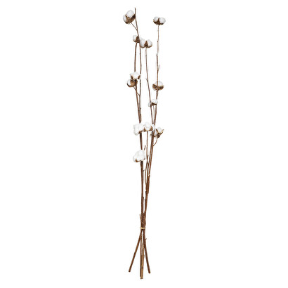 Nat&uuml;rliche trockenblumen h.100 cm