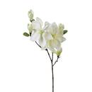 Künstlicher Magnolienzweig Weiß, H.83 cm Weiß