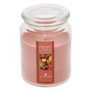 Duftkerze Exotische Früchte, 510g Exotische Früchte