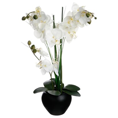 K&uuml;nstliche orchidee keramikvase, schwarz, h.53 cm