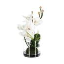 Zusammensetzung aus künstlichen Orchideen Glasvase, H.37 cm Rosa