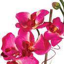 Zusammensetzung aus künstlichen Orchideen Glasvase, H.37 cm Rosa