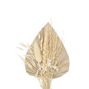 Trockenblumenstrau&szlig; "Meerblick" H.31 cm Beige
