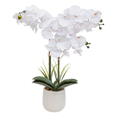 K&uuml;nstliche orchidee "riva" keramiktopf, h.60 cm