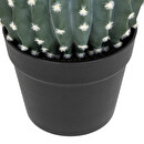 Runder Kaktus "Exotic Panama" Plastiktopf, H.25 cm Grün