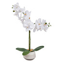Künstliche Orchidee "Clera" Keramiktopf, H.52 cm Weiß