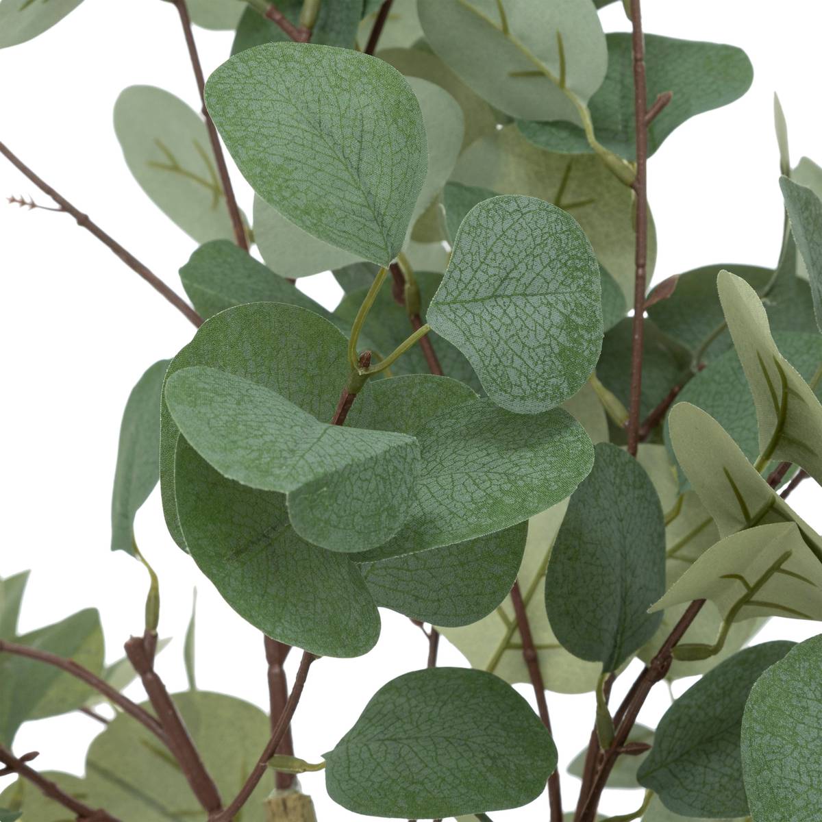 K&uuml;nstlicher Eukalyptus "Cony" Schwarzer Topf, H.127 cm Gr&uuml;n