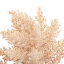 K&uuml;nstlicher gefrorener Stiel "James" H.40 cm Beige