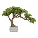 K&uuml;nstlicher Bonsai im Topf "Polin" Keramiktopf, Gr&uuml;n, H. 45 cm Gr&uuml;n