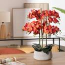 Künstliche Orchidee im Topf "Sanae" Zementtopf, Orange, H.65 cm Orange
