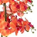 Künstliche Orchidee im Topf "Sanae" Zementtopf, Orange, H.65 cm Orange