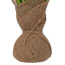 K&uuml;nstliche Topfpflanze 'Lari' Gr&uuml;n, H. 42 cm Gr&uuml;n