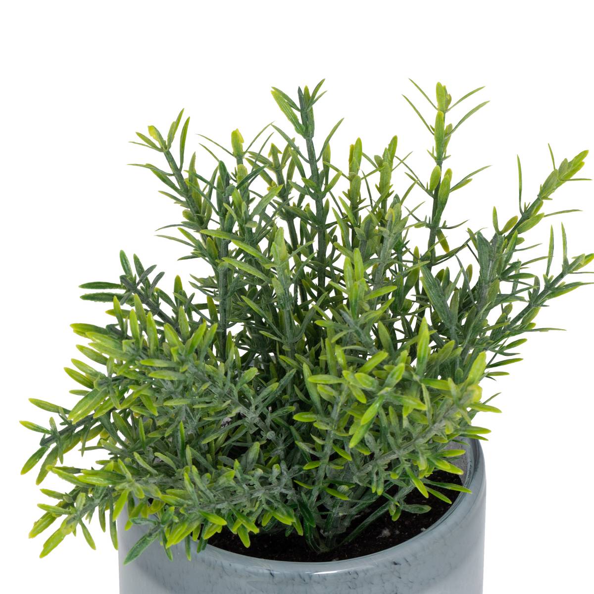 K&uuml;nstliche Topfpflanze "Tayli" H. 18 cm Blau