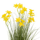 'B&uuml;ndel k&uuml;nstlicher Blumen "Ludo"' H.80 cm Gelb