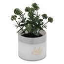 K&uuml;nstliche Topfpflanze "Tayli" H. 18 cm Blau