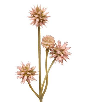 Plants, vases Artificial flowers