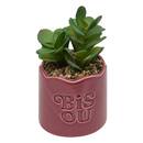 Artificial Potted Plant "Cheri" 13x10 cm Green