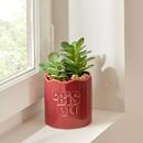 Artificial Potted Plant "Cheri" 13x10 cm Green