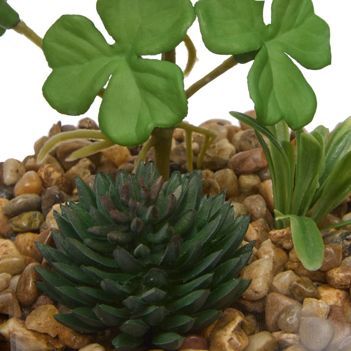 Terrarium "Wilo" 11x10 cm Model A