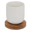 Set of 4 "Elegance" cups New Bone China (Porcelain), 100 ml, White White