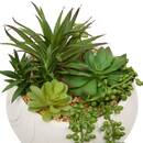 Artificial Potted Plant "Jesy" 21x18 cm Green