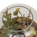 Terrarium "Wonj" 15.7x14 cm Beige