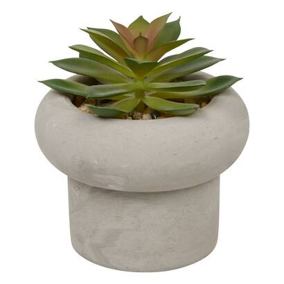 Plants, vases Artificial plants
