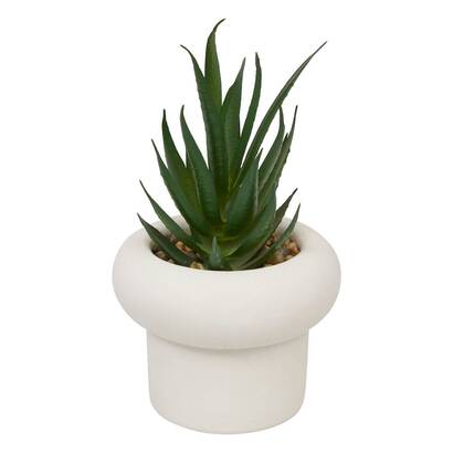 Plants, vases Artificial plants