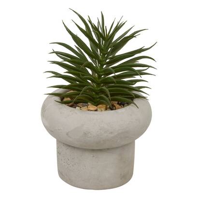 Plants, vases Artificial plants