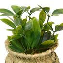 Artificial potted plant "Jil" 10x10 cm Model A