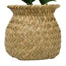 Artificial potted plant "Jil" 10x10 cm Model A